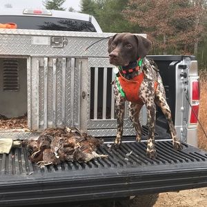 Meet your Posher, Ddavid